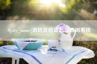 广饶消防资格证怎么查询系统