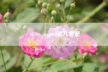 广饶第九金是