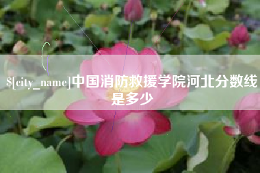 广饶中国消防救援学院河北分数线是多少