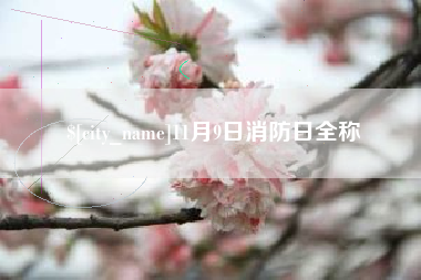 广饶11月9日消防日全称