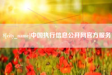 广饶中国执行信息公开网官方服务
