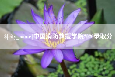 广饶中国消防救援学院2020录取分