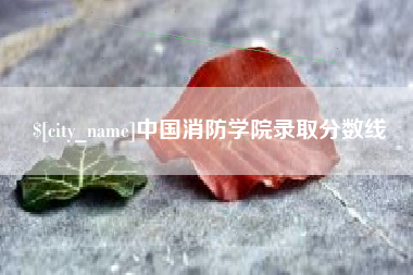 广饶中国消防学院录取分数线