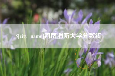 广饶河南消防大学分数线