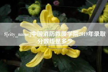 广饶中国消防救援学院2019年录取分数线是多少
