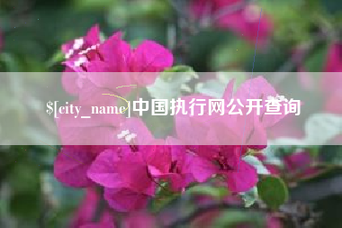 广饶中国执行网公开查询