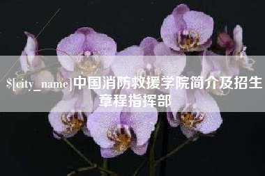 广饶中国消防救援学院简介及招生章程指挥部