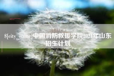 广饶中国消防救援学院2021年山东招生计划