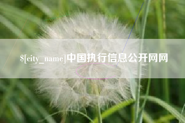 广饶中国执行信息公开网网
