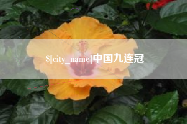 广饶中国九连冠