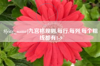 广饶九宫格规则,每行,每列,每个粗线都有1-9