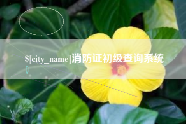 广饶消防证初级查询系统