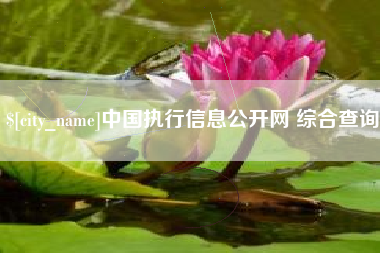 广饶中国执行信息公开网 综合查询