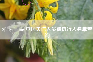 广饶中国失信人员被执行人名单查询