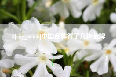 广饶中国金牌得了几枚金牌