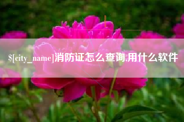 广饶消防证怎么查询,用什么软件