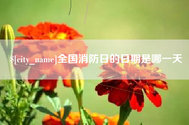 广饶全国消防日的日期是哪一天
