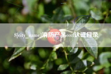 广饶消防产品cccf认证目录