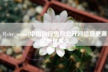 广饶中国执行信息公开网信息更新时间是多久