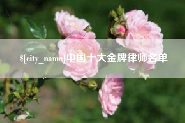 广饶中国十大金牌律师名单