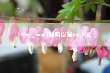 广饶消防设备ccc认证