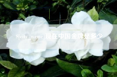 广饶现在中国金牌是多少