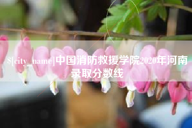 广饶中国消防救援学院2020年河南录取分数线