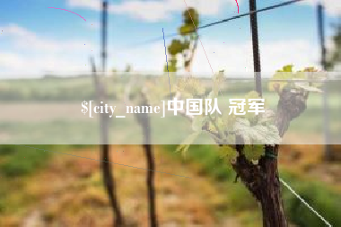广饶中国队 冠军