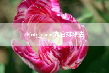 广饶九宫排除法
