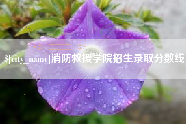 广饶消防救援学院招生录取分数线