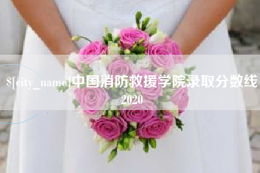 广饶中国消防救援学院录取分数线2020