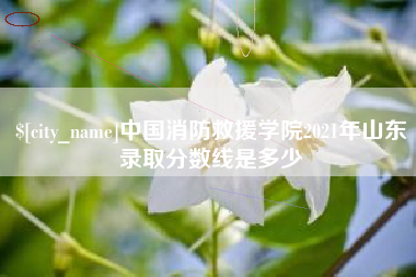 广饶中国消防救援学院2021年山东录取分数线是多少