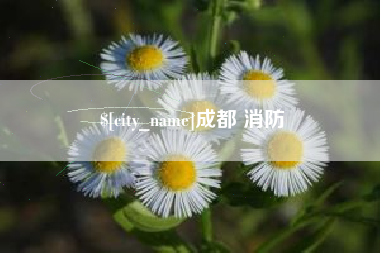 广饶成都 消防