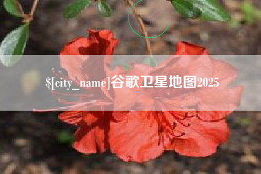 广饶谷歌卫星地图2025