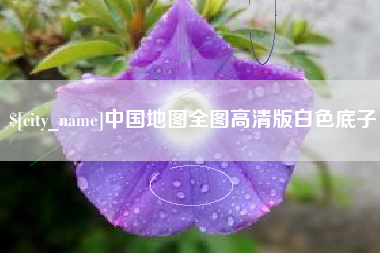 广饶中国地图全图高清版白色底子