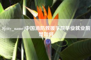 广饶中国消防救援学院毕业就业前景如何