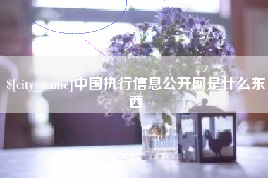 广饶中国执行信息公开网是什么东西