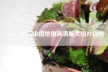 广饶中国地图高清版大图片省份