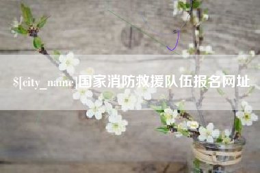 广饶国家消防救援队伍报名网址