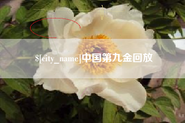 广饶中国第九金回放