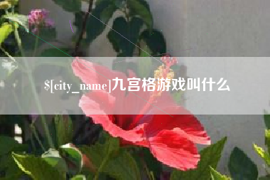广饶九宫格游戏叫什么