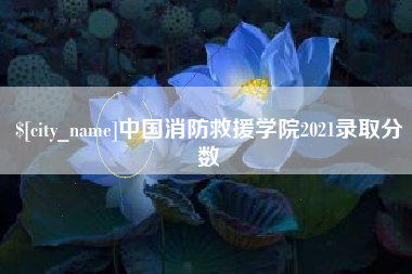 广饶中国消防救援学院2021录取分数