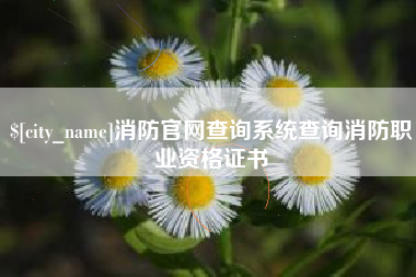 广饶消防官网查询系统查询消防职业资格证书
