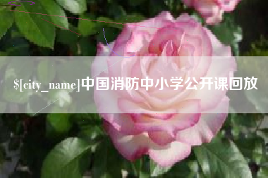 广饶中国消防中小学公开课回放