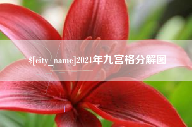 广饶2021年九宫格分解图