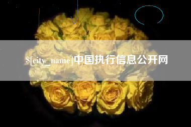 广饶中国执行信息公开网