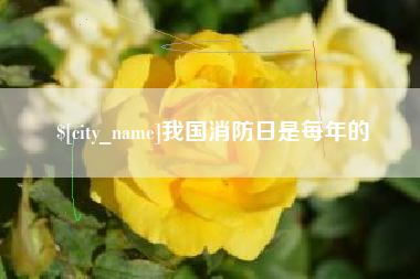 广饶我国消防日是每年的