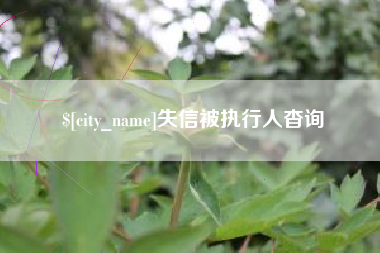 广饶失信被执行人杳询