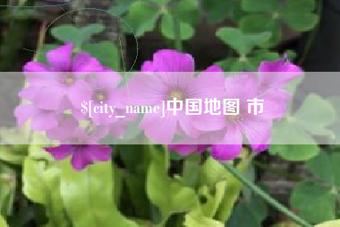 广饶中国地图 市