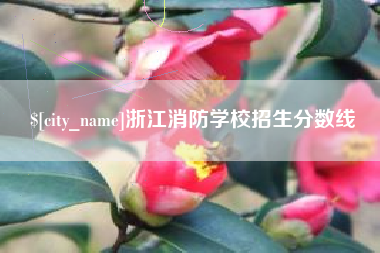 广饶浙江消防学校招生分数线